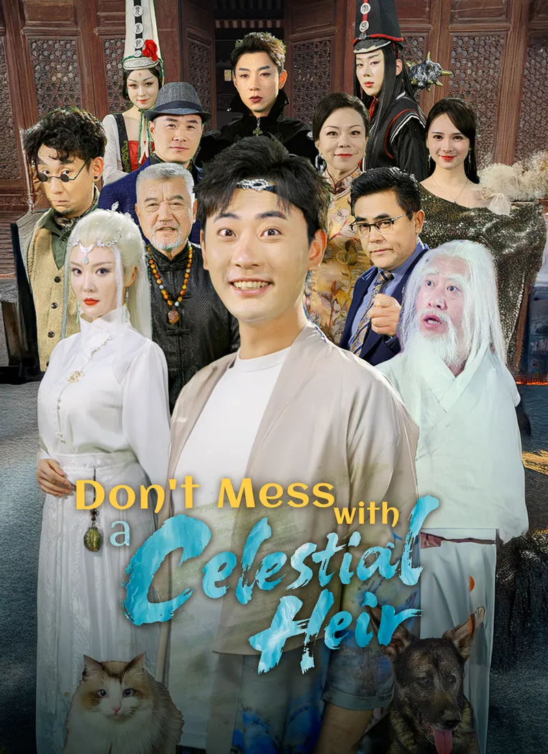Don't Mess with a Celestial Heir cover