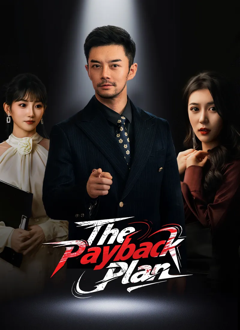 The Payback Plan cover