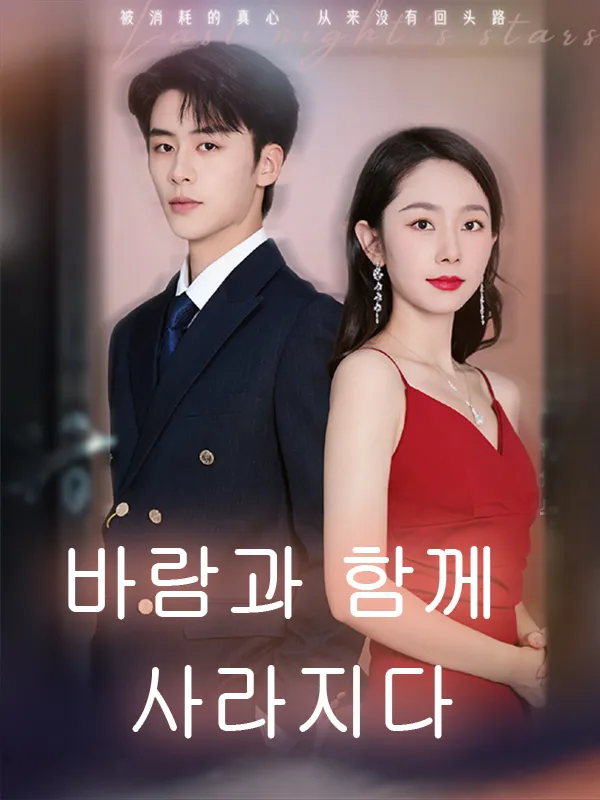 바람과 함께 사라지다 표지