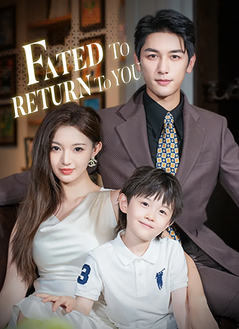 Fated to Return to You cover