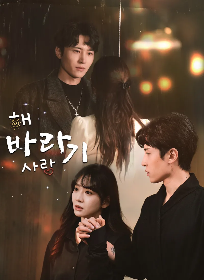 해바라기 사랑 표지