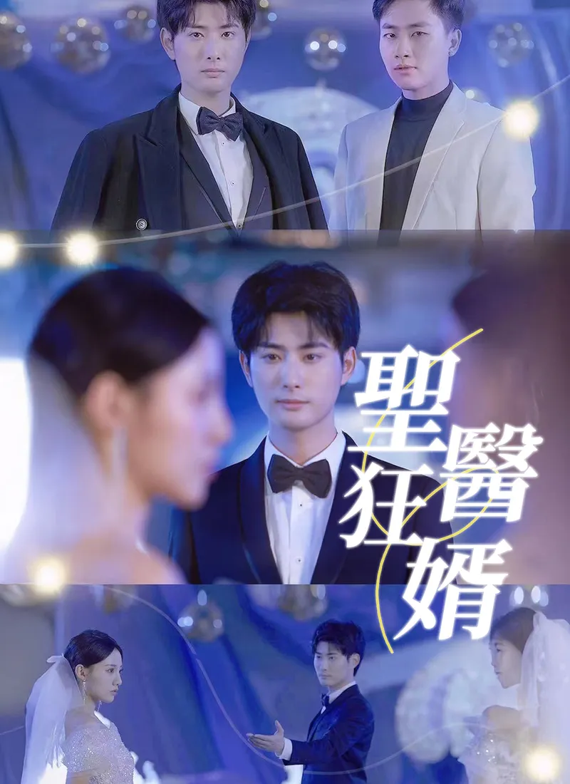 《聖醫狂婿》封面