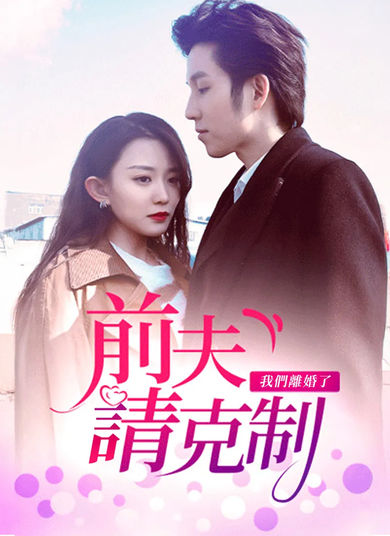 《前夫請克制，我們離婚了》封面