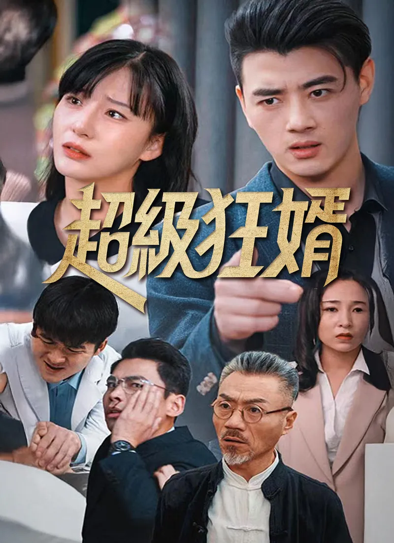 《超級狂婿》封面