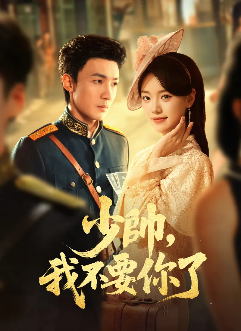 《少帥，我不要你了》封面