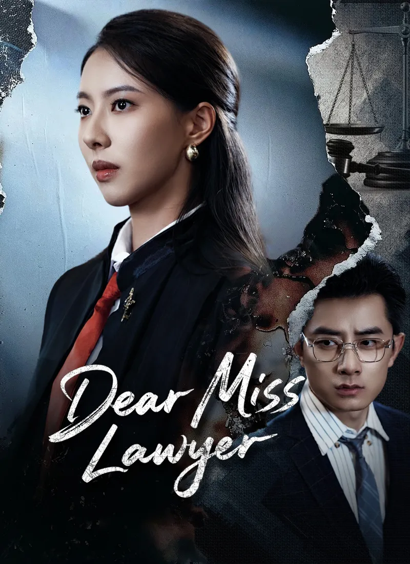 Dear Miss Lawyer cover
