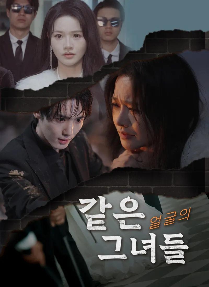 같은 얼굴의 그녀들 표지