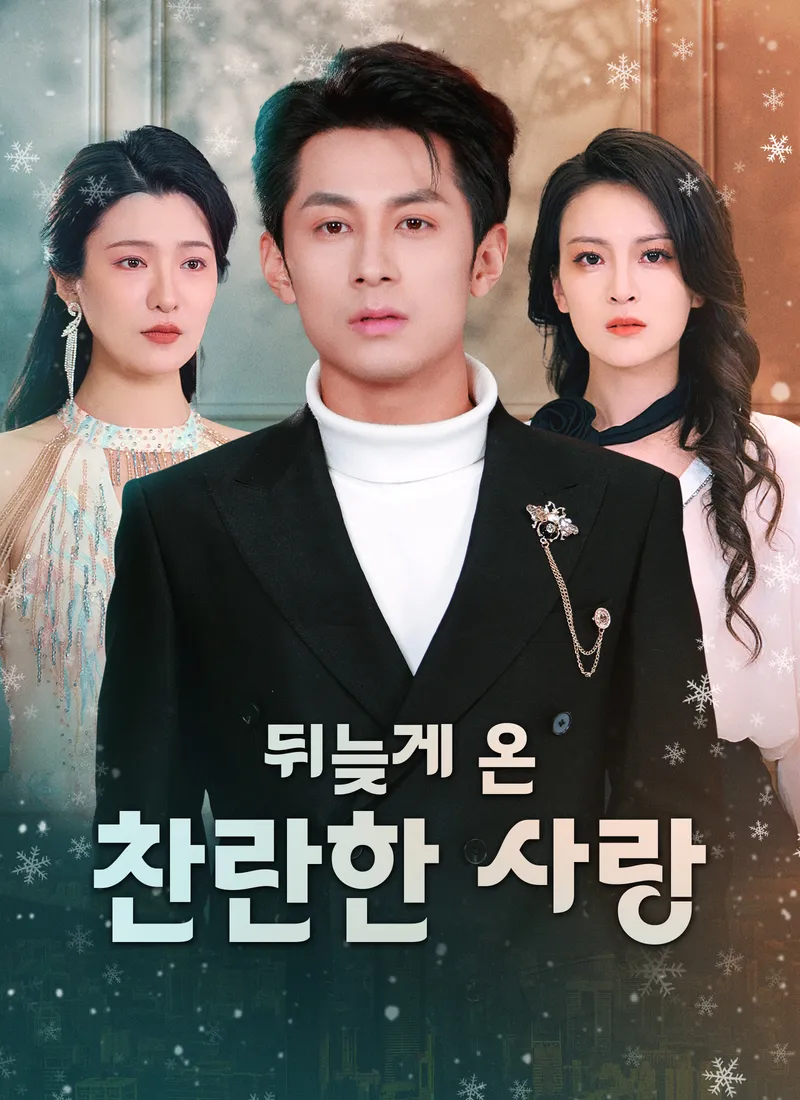 뒤늦게 온 찬란한 사랑 표지
