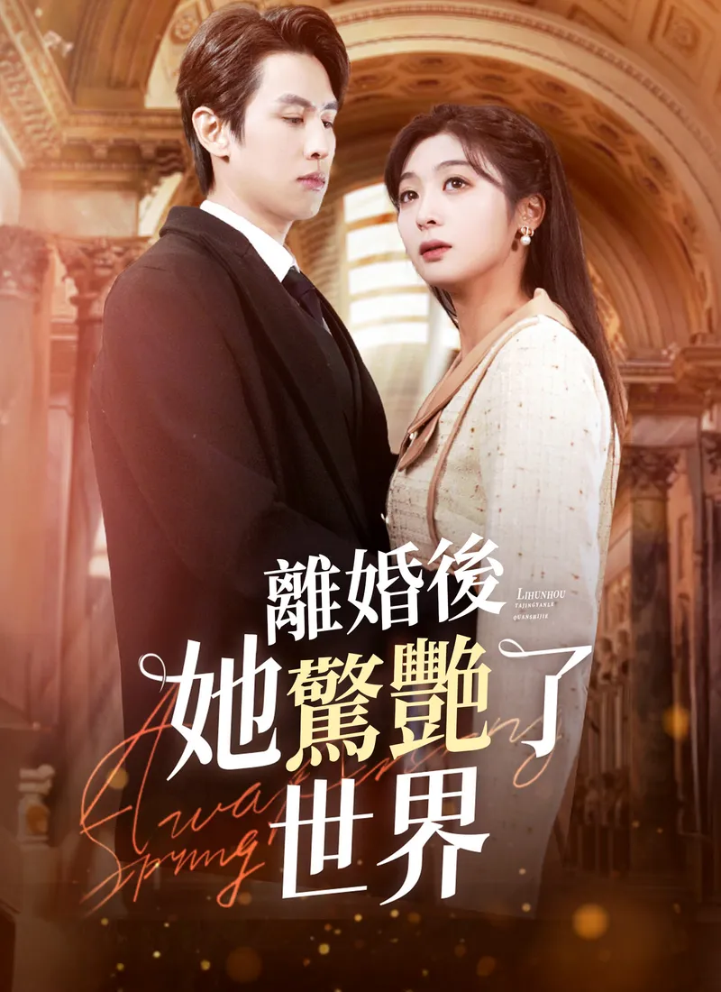 《離婚後她驚艷了世界》封面