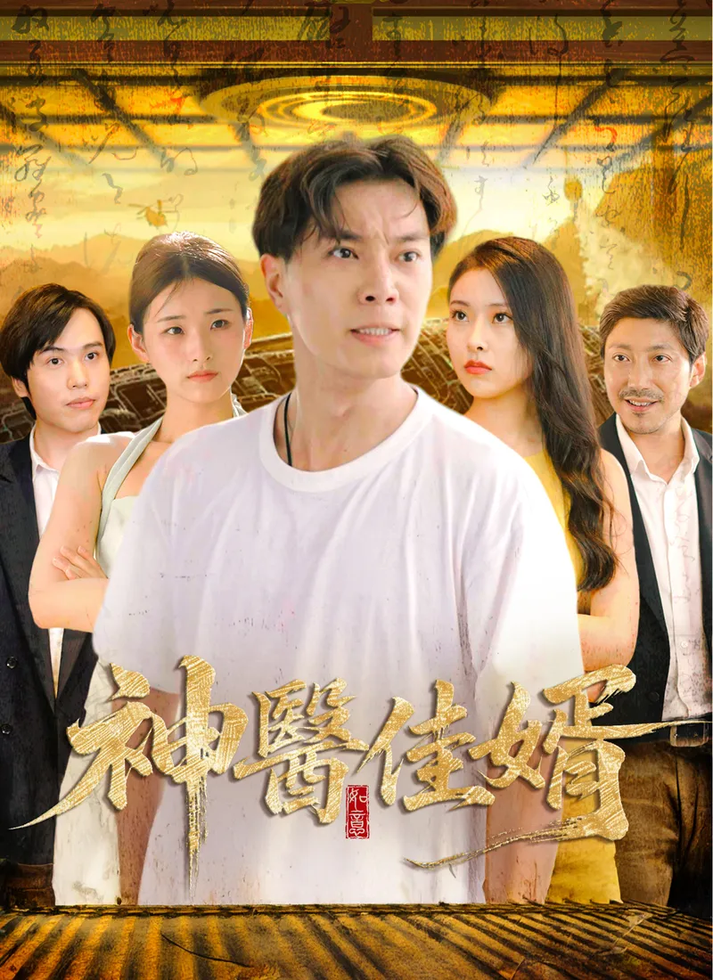 《神醫佳婿》封面