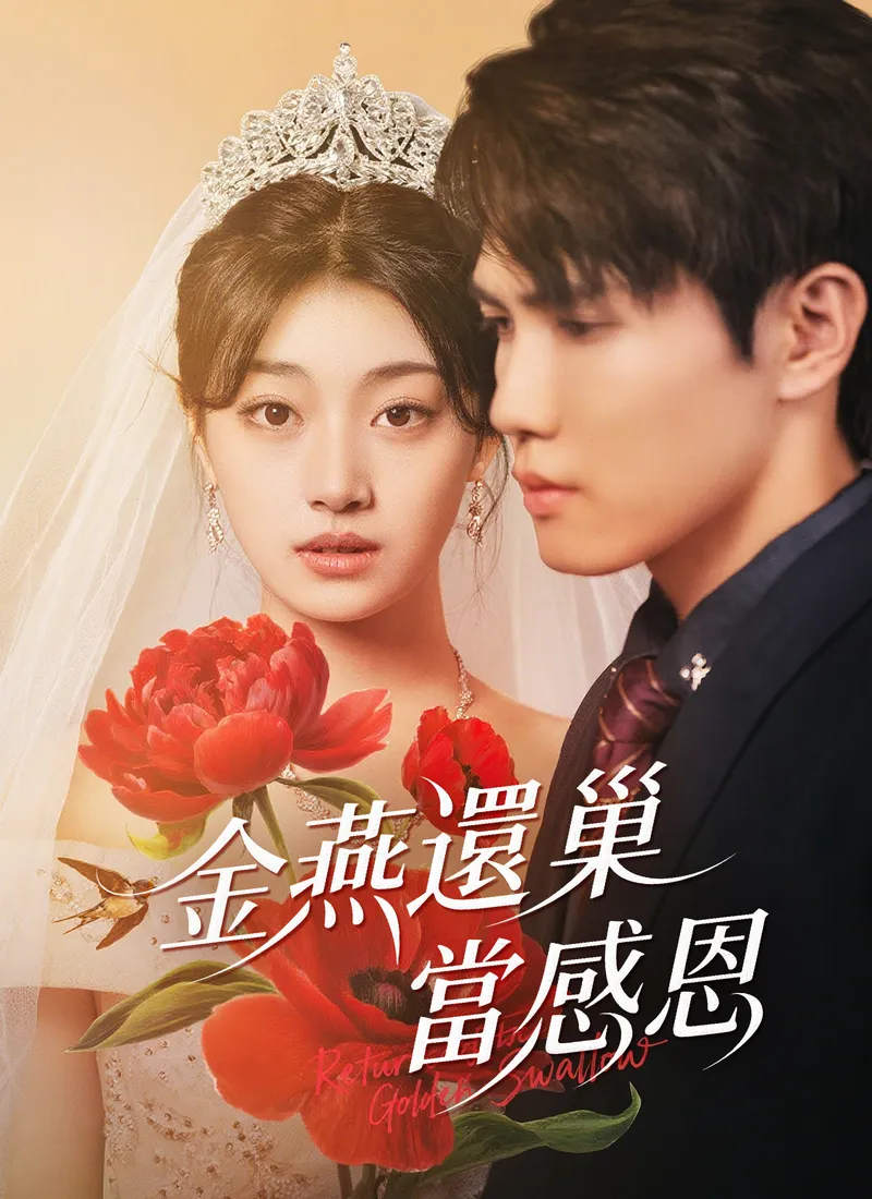 《金燕還巢當感恩》封面