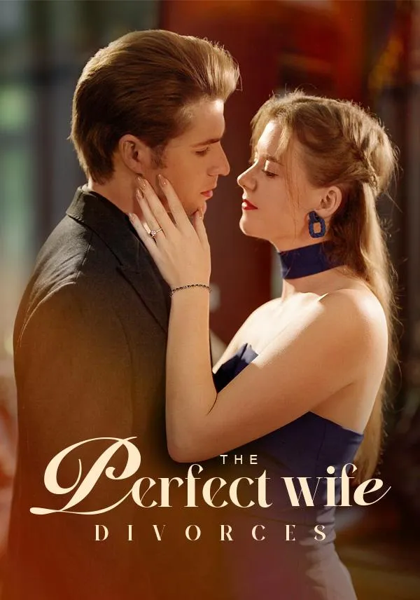 The Perfect Wife Divorces cover