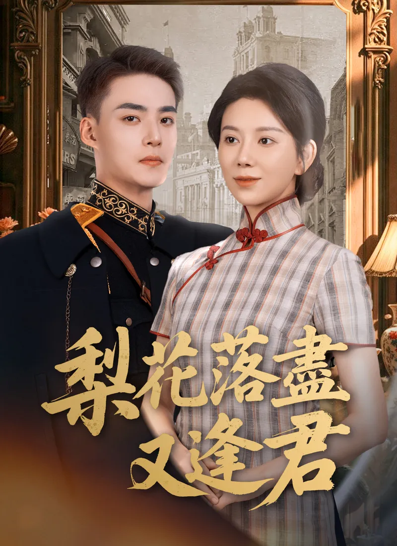 《梨花落盡又逢君》封面