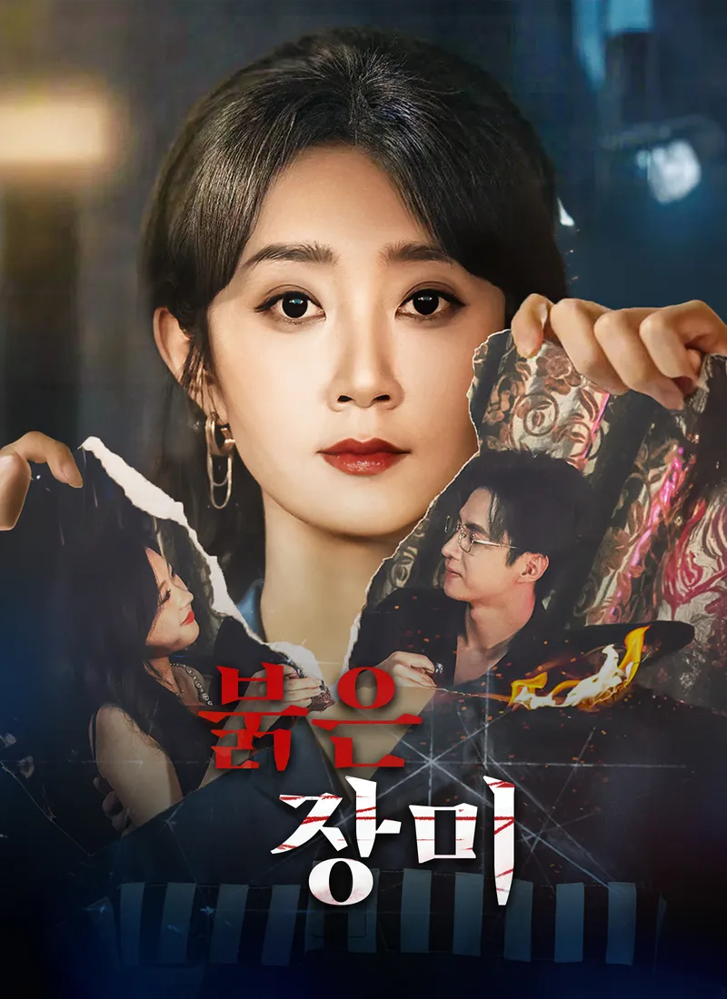 붉은 장미 표지