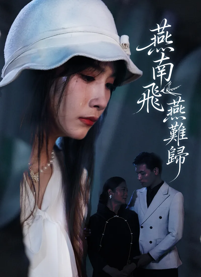 《燕南飛，燕難歸》封面
