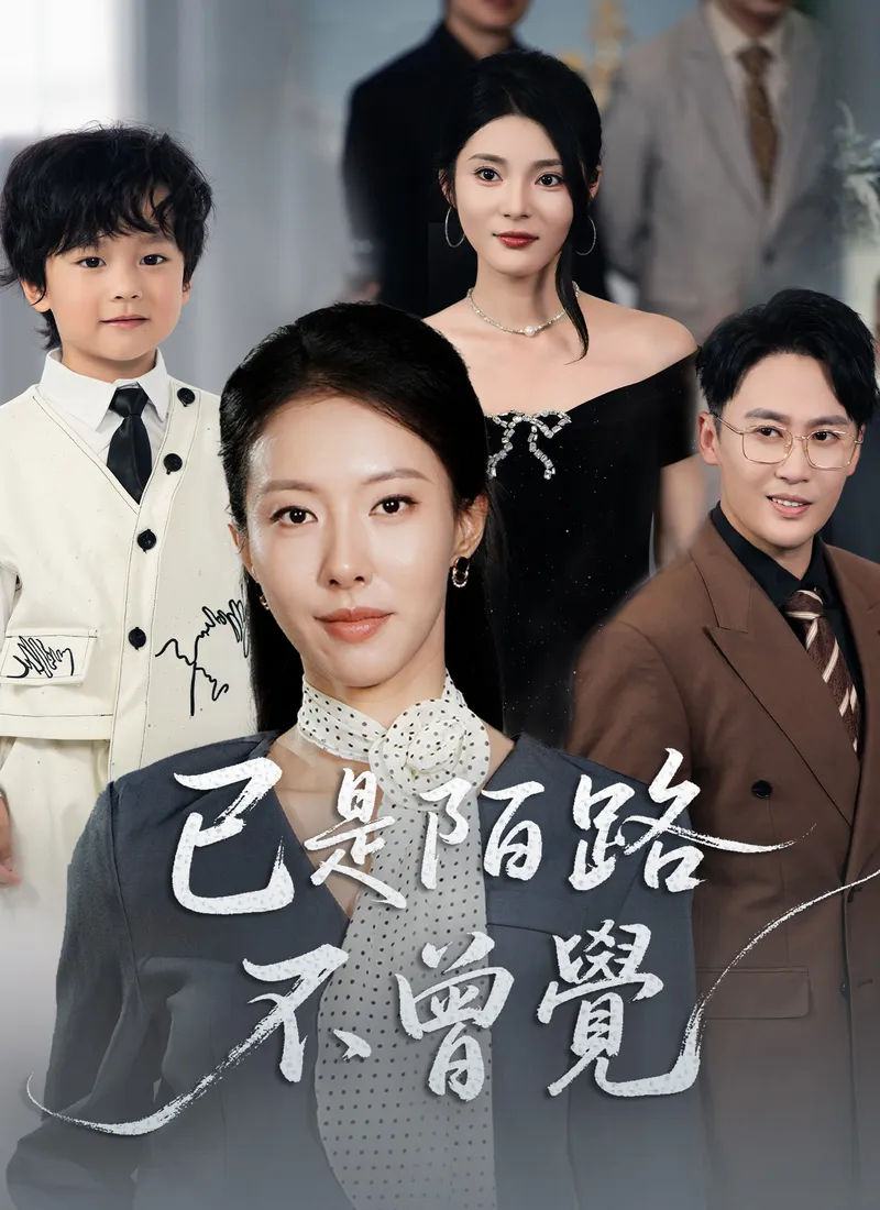 《已是陌路不曾覺》封面