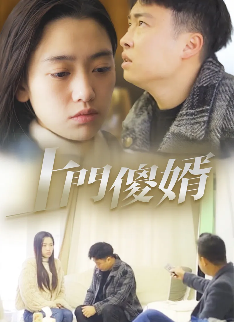 《上門傻婿》封面