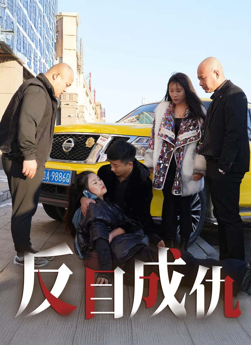 《反目成仇》封面