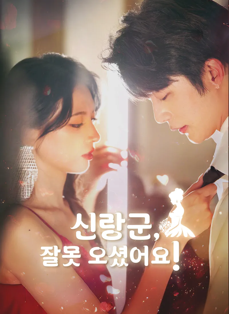 신랑군, 잘못 오셨어요! 표지