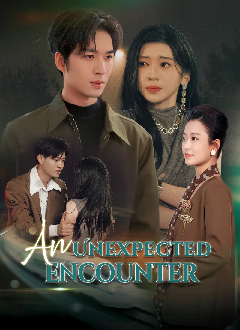 An Unexpected Encounter cover