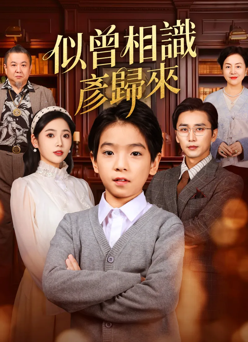 《似曾相識彥歸來》封面