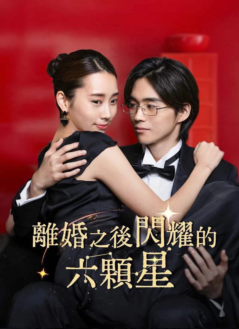 《離婚之後閃耀的六顆星》封面