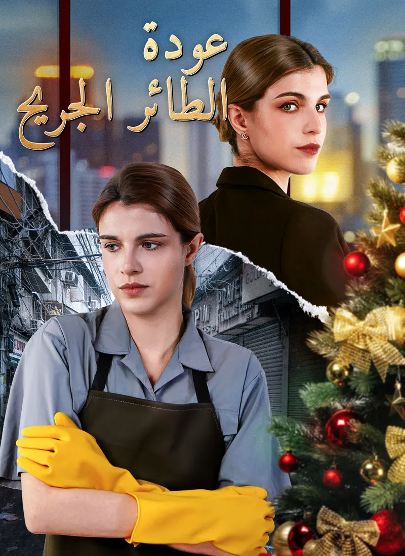 غلاف عودة الطائر الجريح