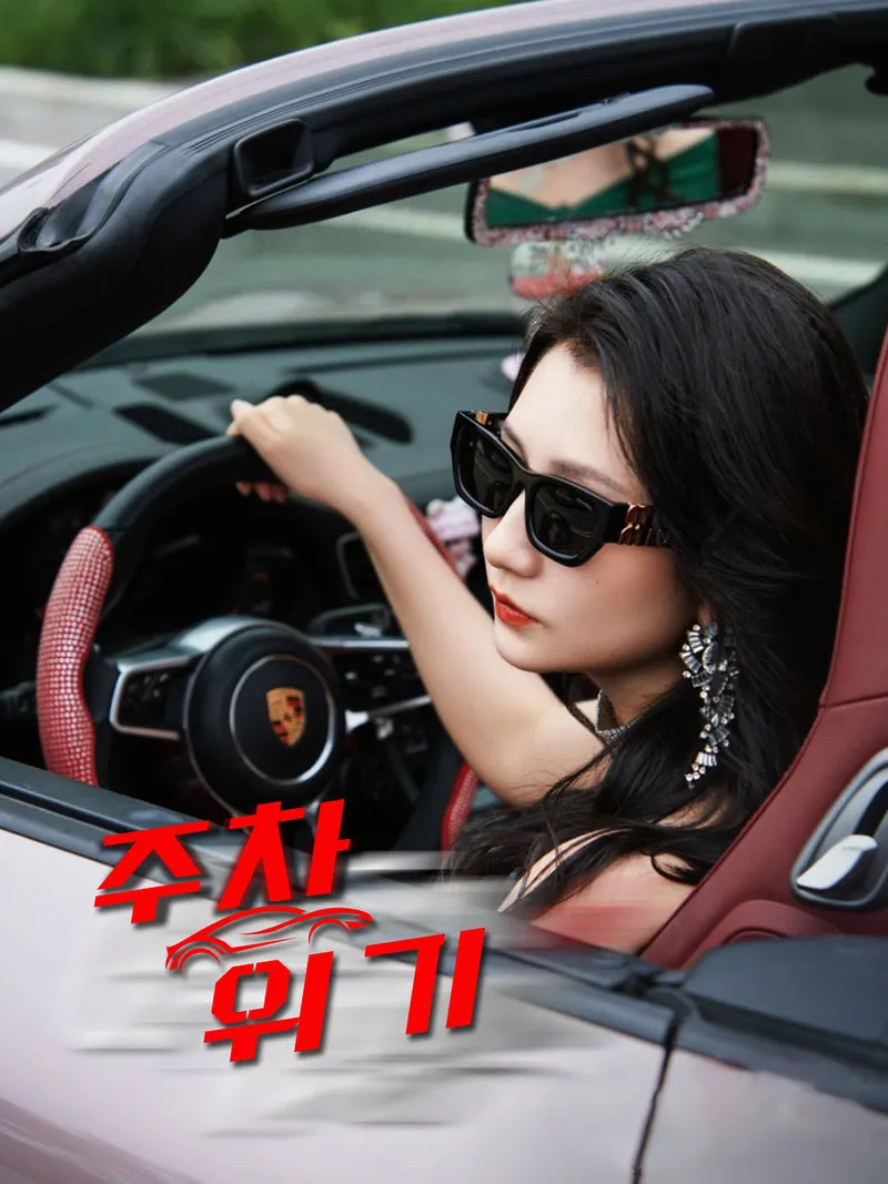 [더빙 버전]주차 위기 표지