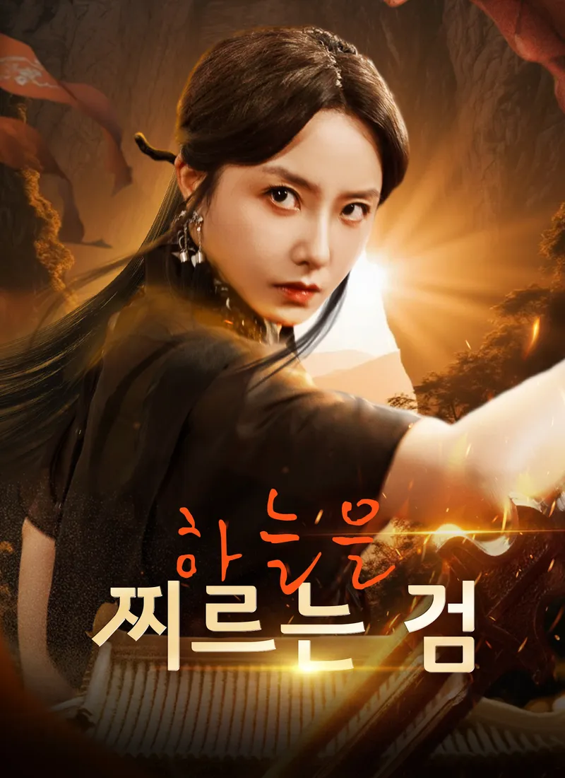 하늘을 찌르는 검 표지