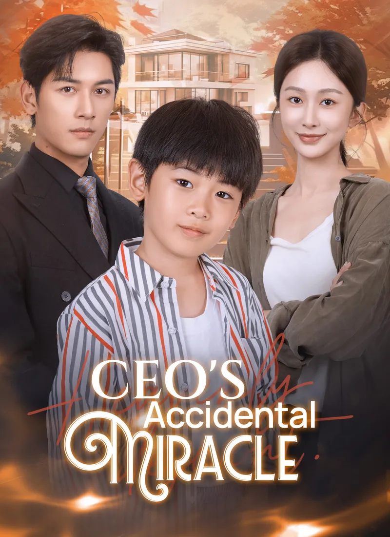 CEO's Accidental Miracle cover