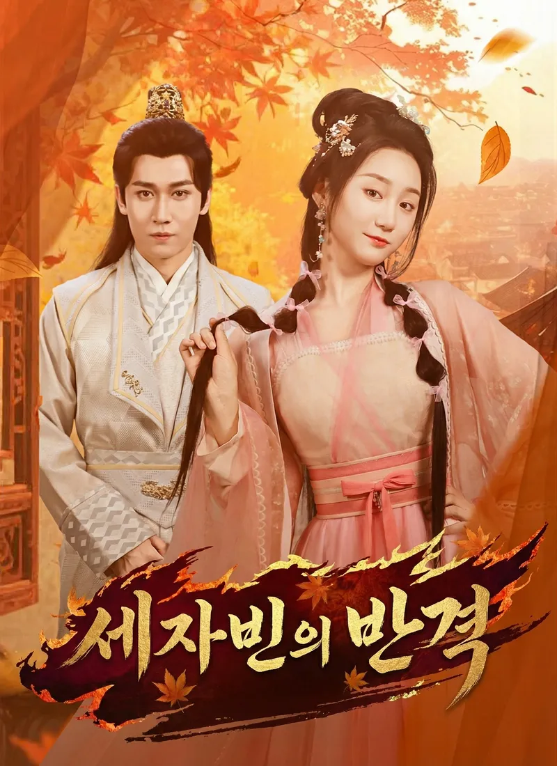 세자빈의 반격 표지