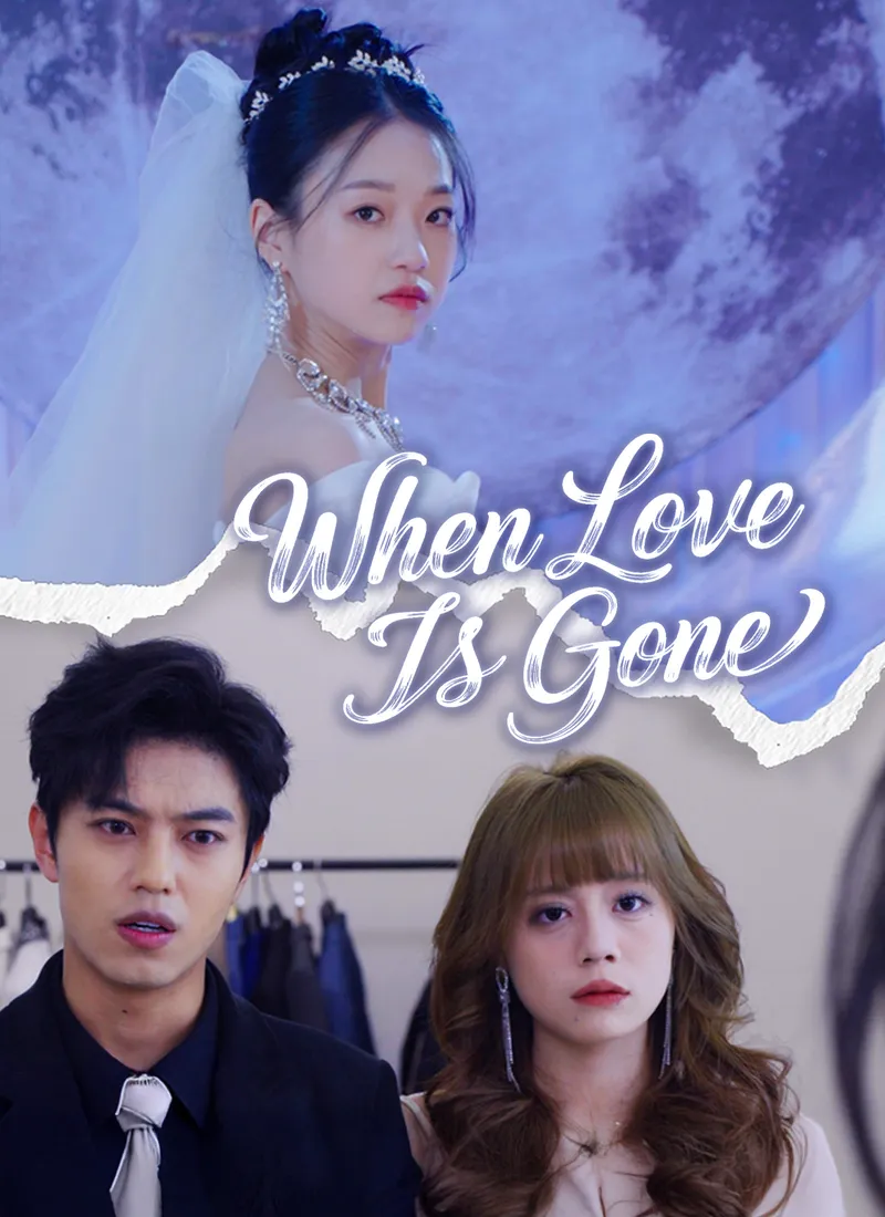 When Love Is Gone cover