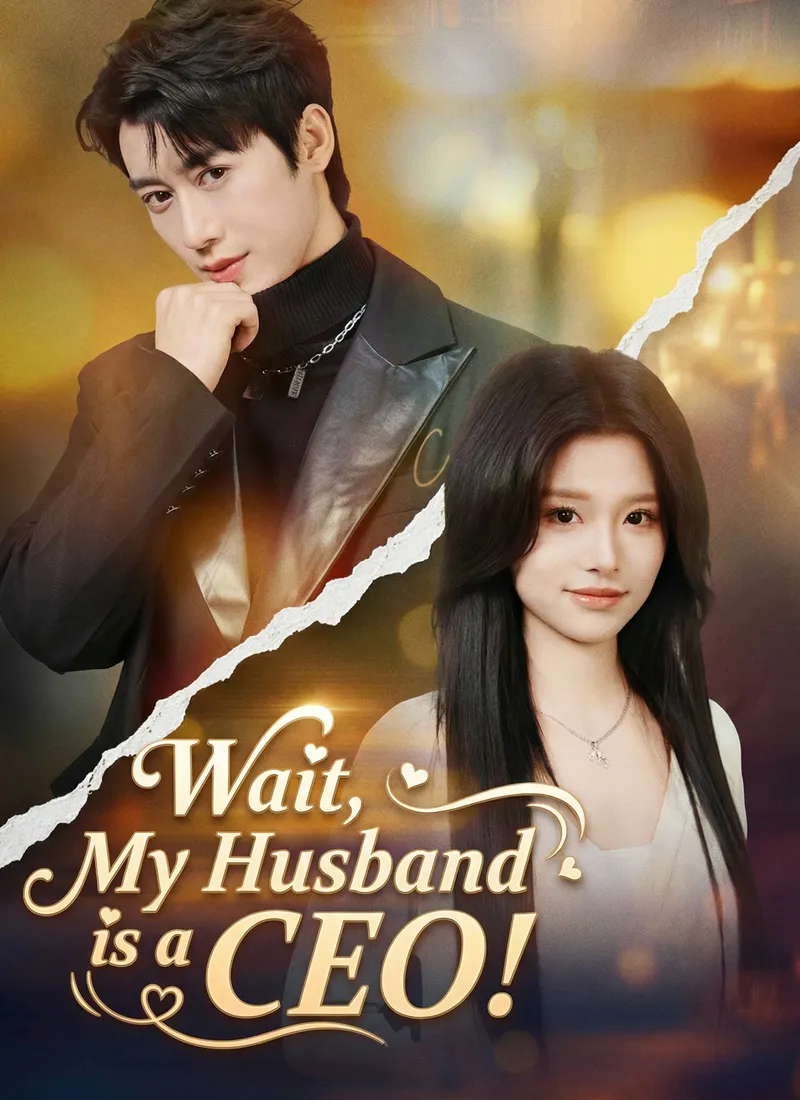 Wait, My Husband is a CEO! cover