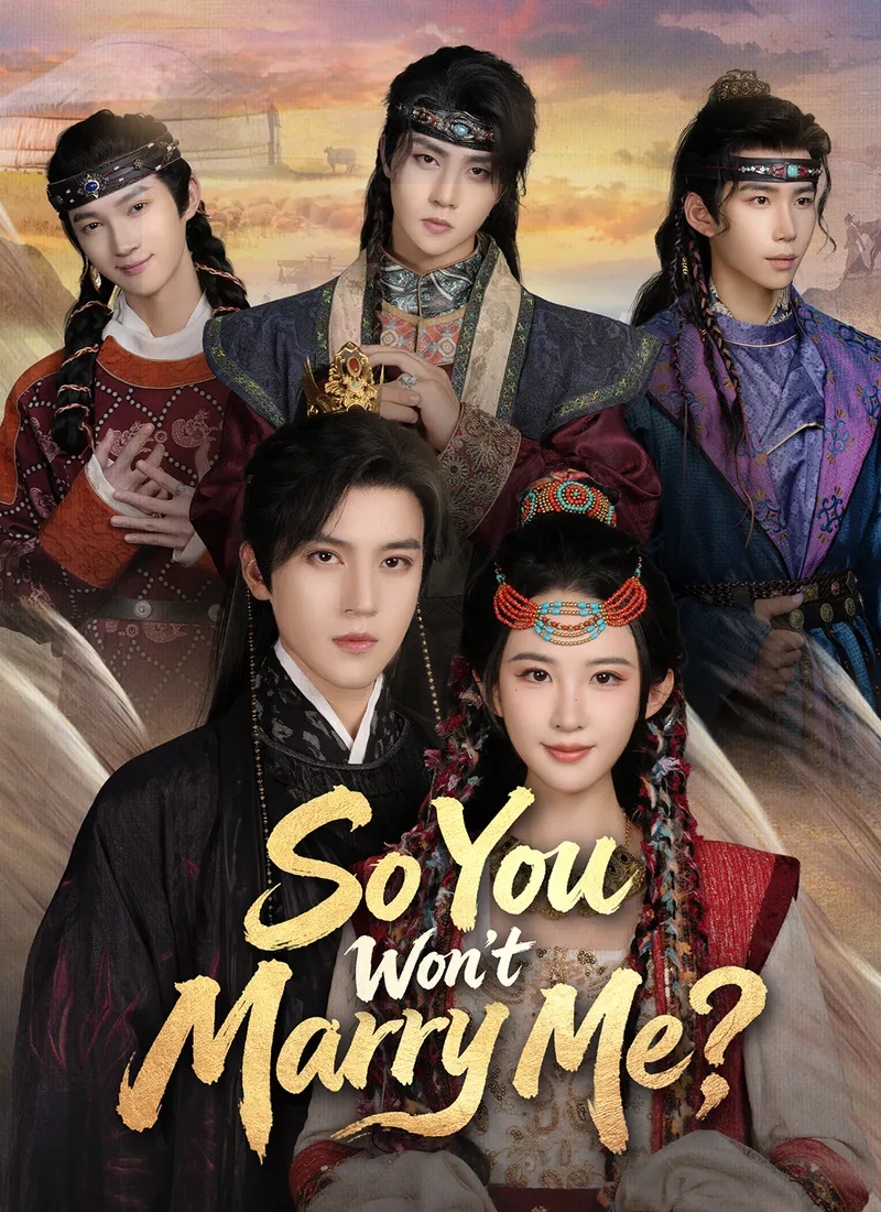 So You Won’t Marry Me? cover