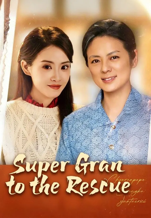 Super Gran to the Rescue cover