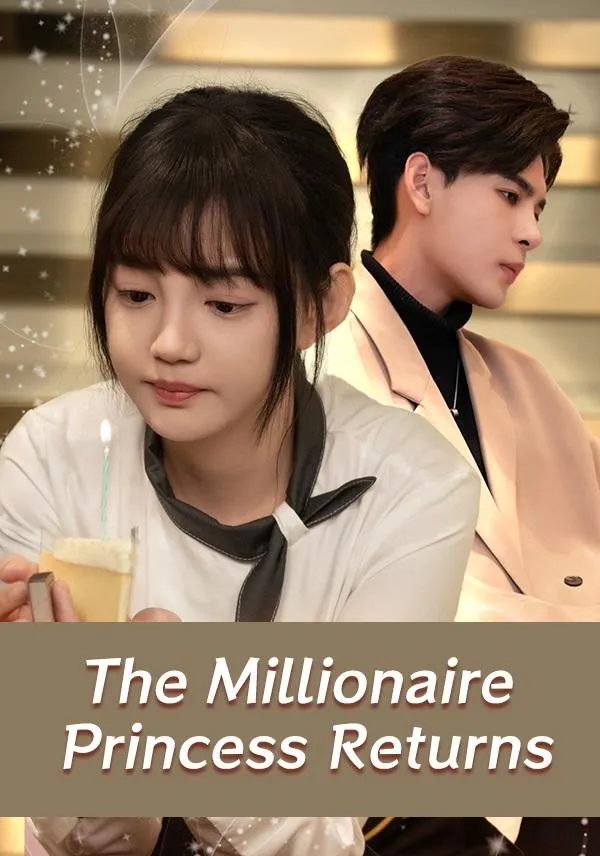 The Millionaire Princess Returns cover