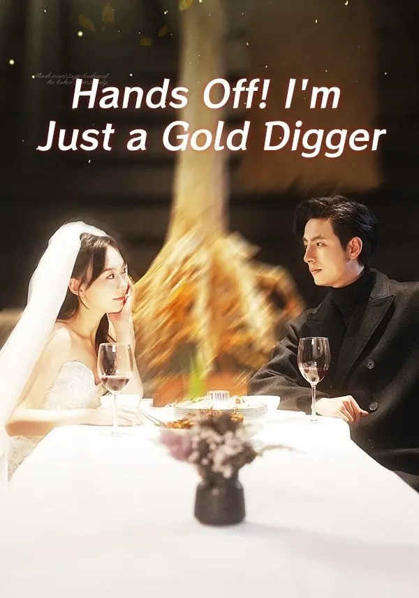 Hands Off Im Just a Gold Digger cover
