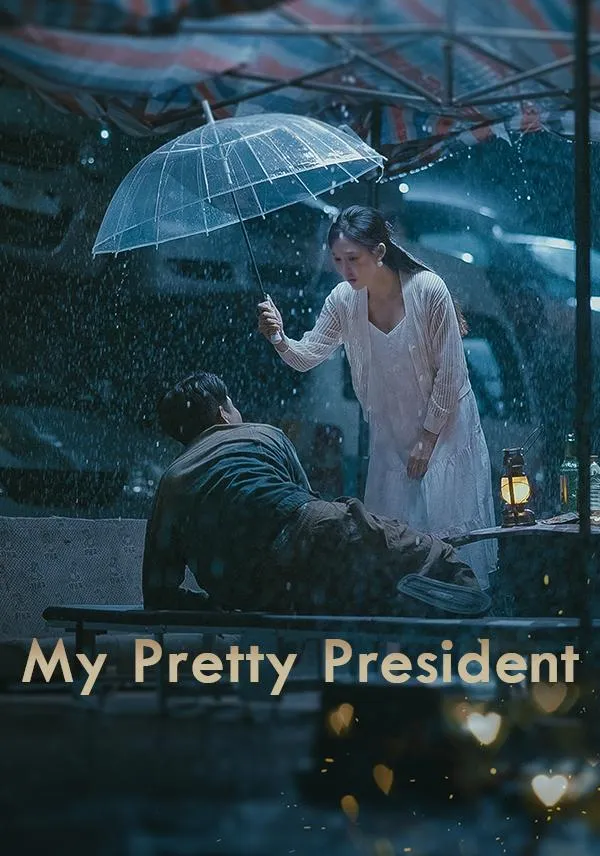 My Pretty President cover
