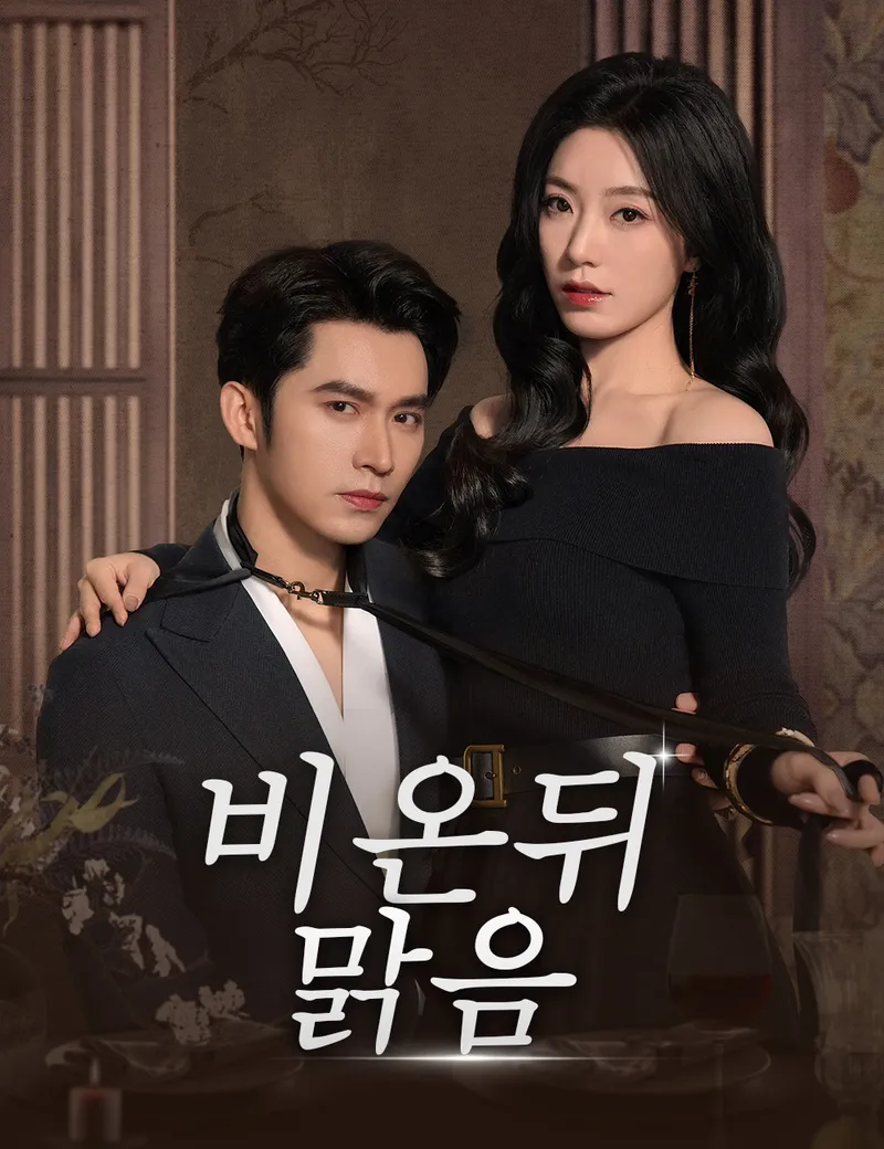 비 온 뒤 맑음 표지