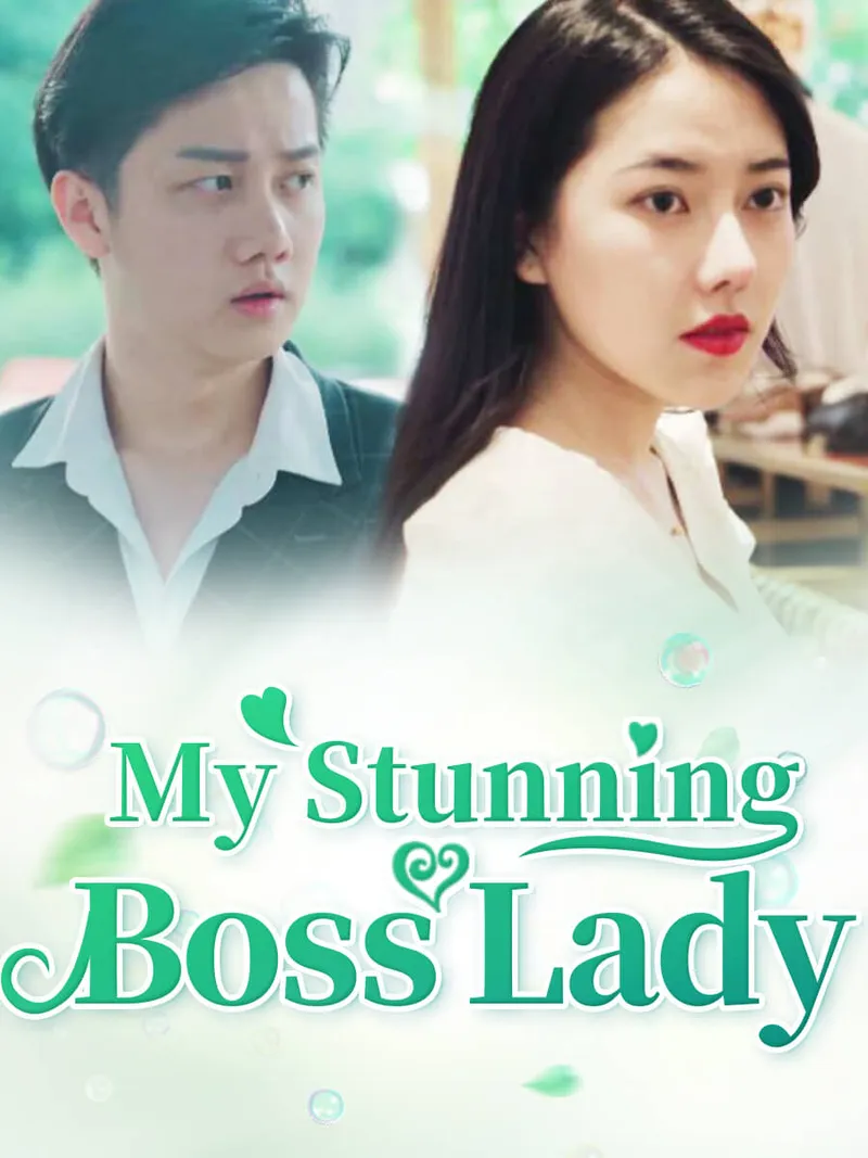 My Stunning Boss Lady cover