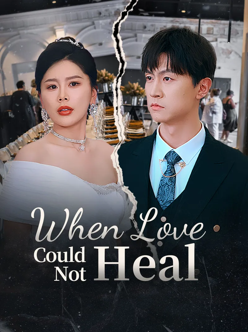 When Love Could Not Heal cover