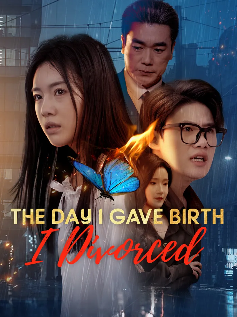 The Day I Gave Birth, I Divorced cover