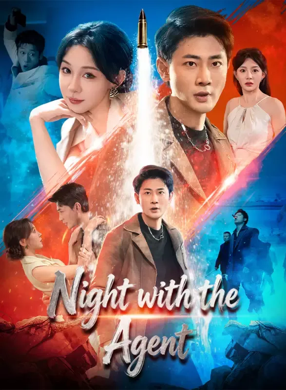 Night with the Agent cover