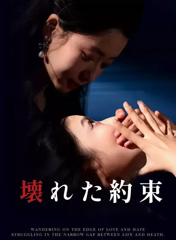 「壊れた約束」のカバー画像