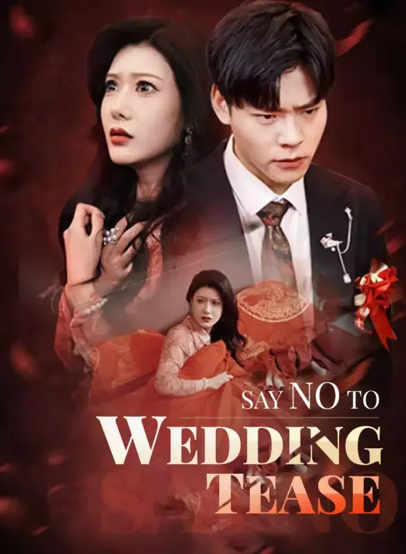 Say No to Wedding Tease cover