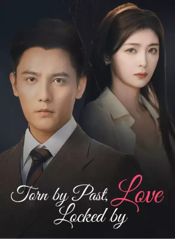 Torn by Past, Locked by Love cover