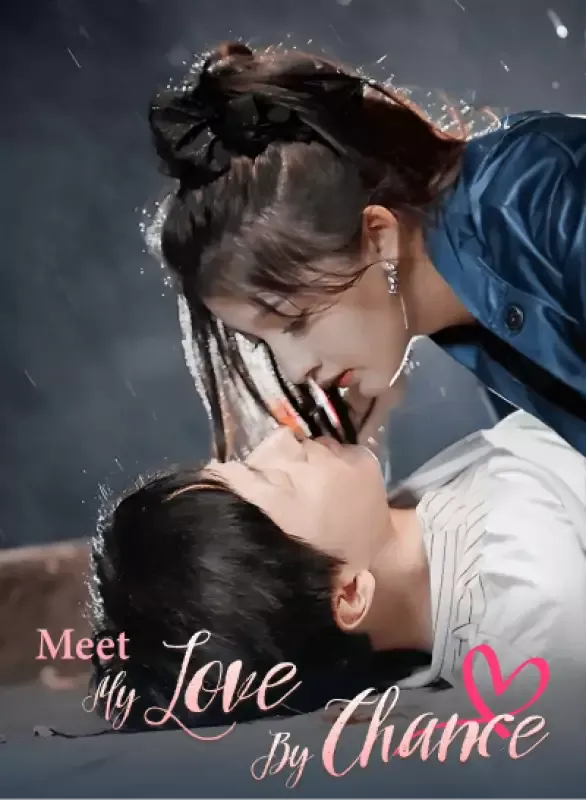 Meet My Love By Chance cover
