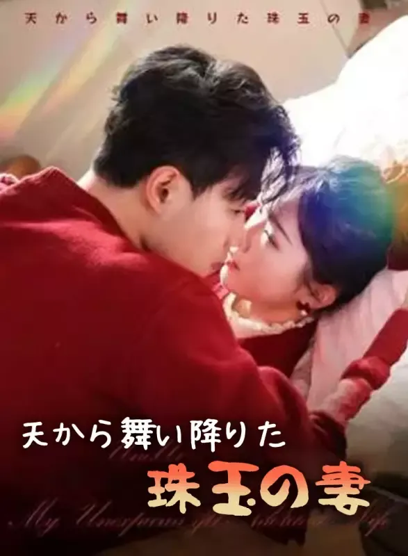 「天から舞い降りた珠玉の妻」のカバー画像