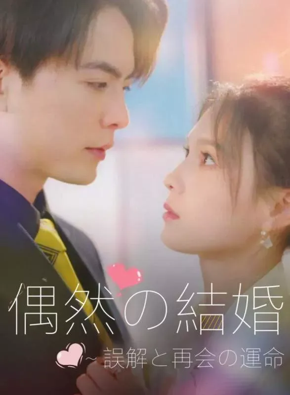 「偶然の結婚～誤解と再会の運命」のカバー画像