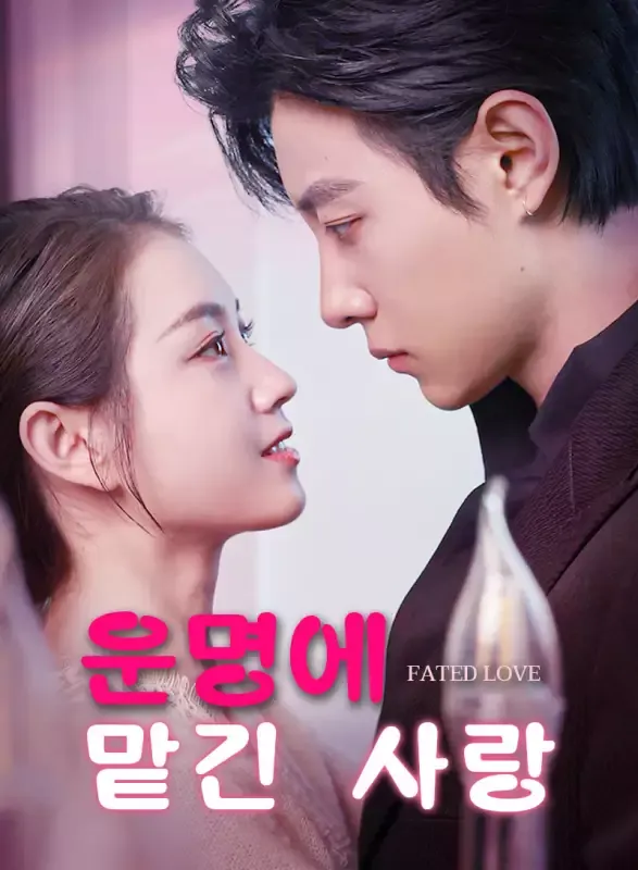 운명에 맡긴 사랑 표지